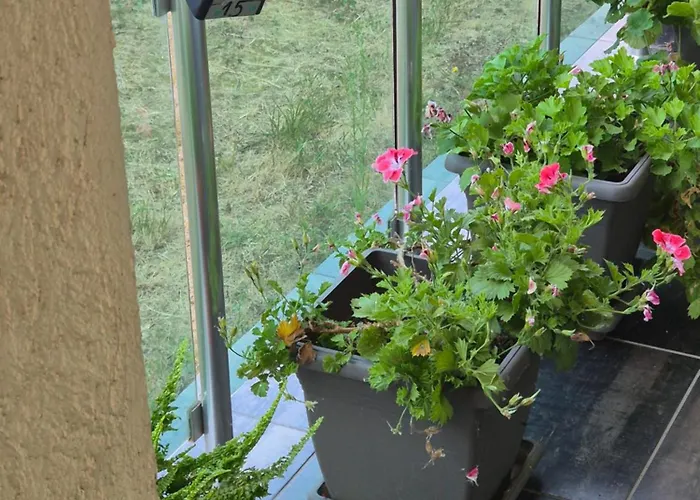 Apartment Black Sea Meadows *