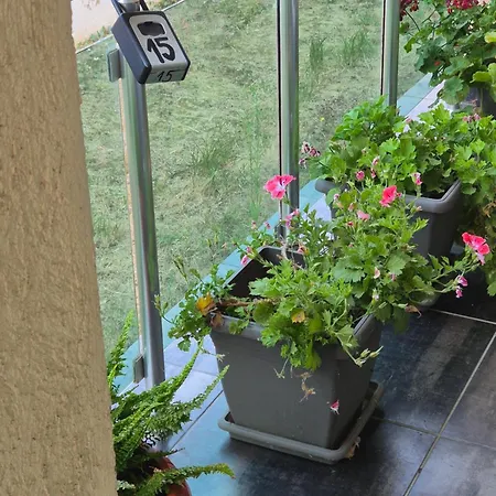 Appartamento Black Sea Meadows *